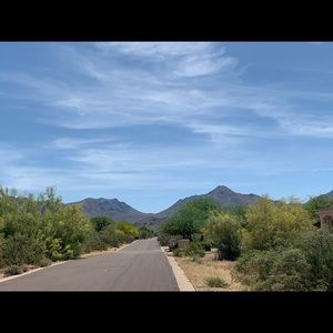 Meet your Posher, Tammy